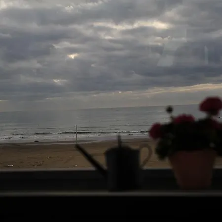 Marocca Nettuno